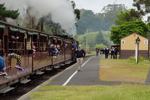 Day Tour Of Yarra Valley Puffing Billy And Rayners Orchard - Maitland Accommodation 0