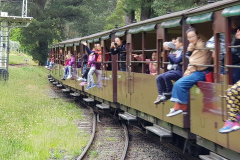 Day Tour Of Yarra Valley Puffing Billy And Rayners Orchard - Maitland Accommodation 13