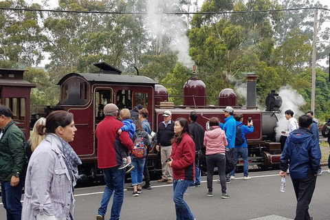 Day Tour Of Yarra Valley Puffing Billy And Rayners Orchard - Maitland Accommodation 4
