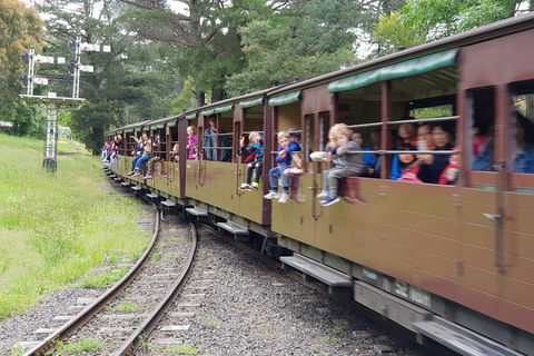 Day Tour Of Yarra Valley Puffing Billy And Rayners Orchard - Maitland Accommodation 24