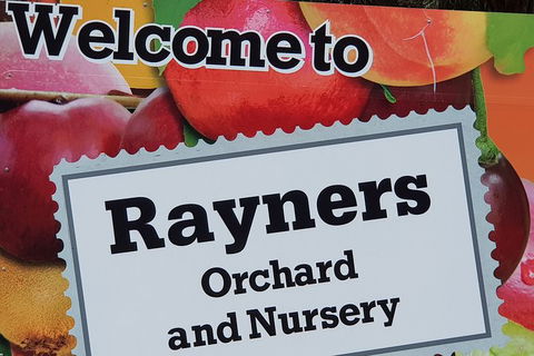 Day Tour Of Yarra Valley Puffing Billy And Rayners Orchard - Maitland Accommodation 20