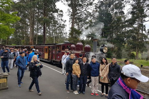 Day Tour Of Yarra Valley Puffing Billy And Rayners Orchard - Maitland Accommodation 9