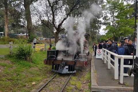 Day Tour Of Yarra Valley Puffing Billy And Rayners Orchard - Maitland Accommodation 43