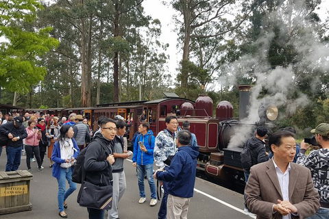 Day Tour Of Yarra Valley Puffing Billy And Rayners Orchard - Maitland Accommodation 12