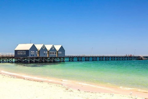 Busselton And Scenic Drive Full Day Tour - Maitland Accommodation 0