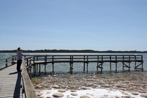 Busselton And Scenic Drive Full Day Tour - Maitland Accommodation 5