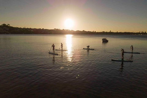Stand Up Paddle Board Hire - Maitland Accommodation 5