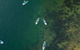 Stand Up Paddle Board Hire - thumb 1