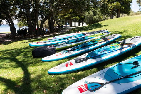 Stand Up Paddle Board Hire - Maitland Accommodation 4