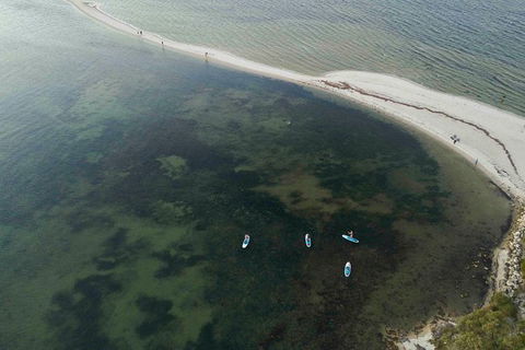 Stand Up Paddle Board Hire - Maitland Accommodation 6