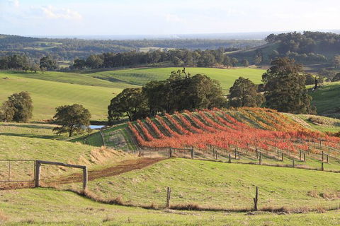 Ferguson Valley Full Day Tour - Maitland Accommodation 0