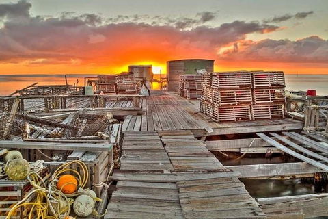 Abrolhos Islands 3 Day Fishing Charter - Maitland Accommodation 5