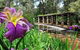 Perth Hills Explorer (Private) Day Tour - thumb 35