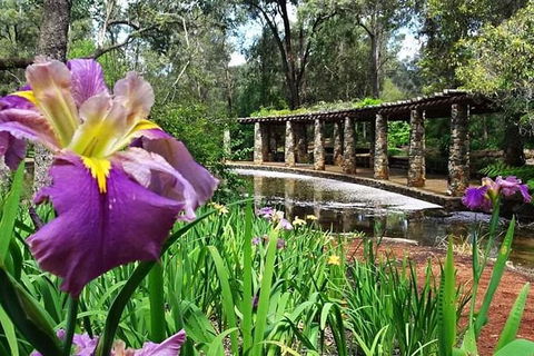 Perth Hills Explorer (Private) Day Tour - Maitland Accommodation 35