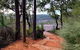 Perth Hills Explorer (Private) Day Tour - thumb 25