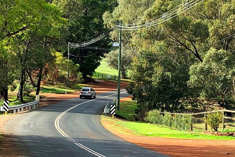 Perth Hills Explorer (Private) Day Tour - Maitland Accommodation 23