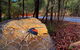 Perth Hills Explorer (Private) Day Tour - thumb 17