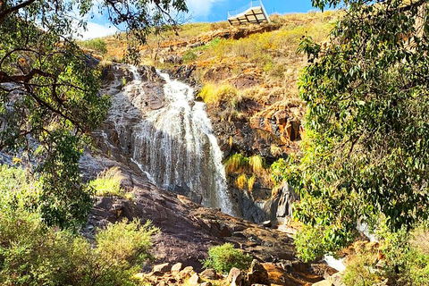 Perth Hills Explorer (Private) Day Tour - Maitland Accommodation 4