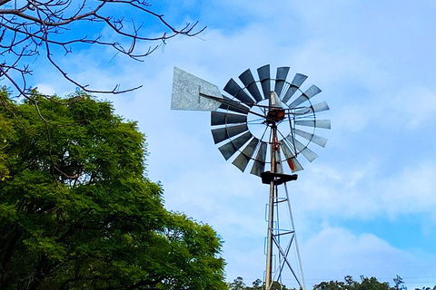 Perth Hills Explorer (Private) Day Tour - Maitland Accommodation 27