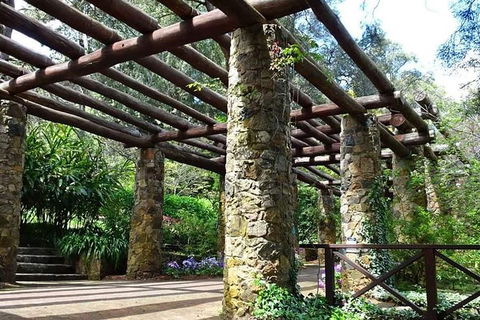Perth Hills Explorer (Private) Day Tour - Maitland Accommodation 34