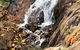 Perth Hills Explorer (Private) Day Tour - thumb 19