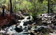 Perth Hills Explorer (Private) Day Tour - thumb 13