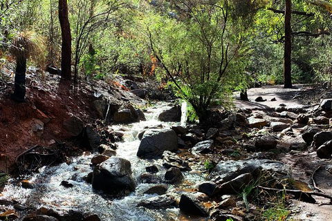 Perth Hills Explorer (Private) Day Tour - Maitland Accommodation 13