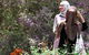 Perth Hills Explorer (Private) Day Tour - thumb 8