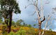 Perth Hills Explorer (Private) Day Tour - thumb 33