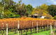 Perth Hills Explorer (Private) Day Tour - thumb 32