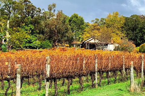 Perth Hills Explorer (Private) Day Tour - Maitland Accommodation 32