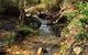 Perth Hills Explorer (Private) Day Tour - thumb 26
