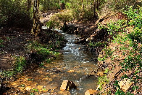 Perth Hills Explorer (Private) Day Tour - Maitland Accommodation 26