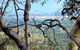 Perth Hills Explorer (Private) Day Tour - thumb 7