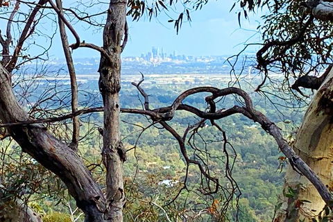 Perth Hills Explorer (Private) Day Tour - Maitland Accommodation 7