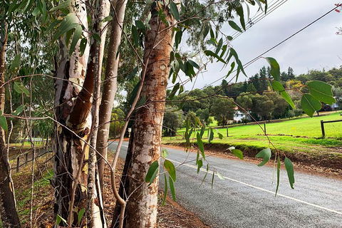 Perth Hills Explorer (Private) Day Tour - Maitland Accommodation 28