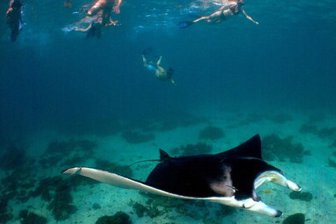 5 Night Ningaloo Reef Ningaloo Escape From Coral Bay - Maitland Accommodation 1