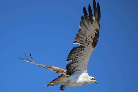 Romance Aircraft Flight + Scenic Tour + 3 Course Lunch + Beer Tasting + Hamper - Maitland Accommodation 4