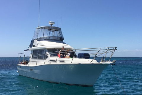 Scuba Dive The Beautiful Rottnest Island - Maitland Accommodation 4