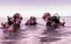 Scuba Dive The Beautiful Rottnest Island - thumb 3