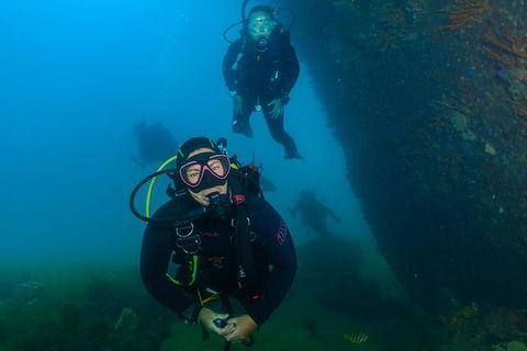 Scuba Dive The Beautiful Rottnest Island - Maitland Accommodation 0