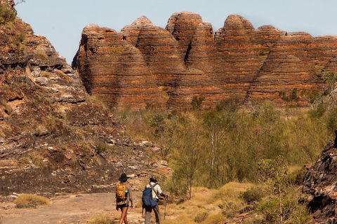 Bungles Day Trek Extended (with Echidna Chasm) - Maitland Accommodation 3