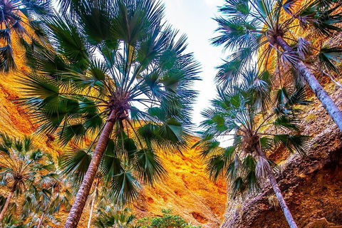 Bungles Day Trek Extended (with Echidna Chasm) - Maitland Accommodation 1