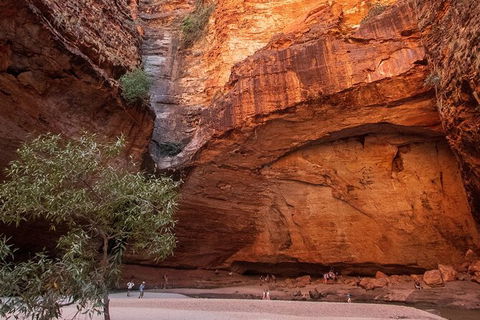 Bungles Day Trek Extended (with Echidna Chasm) - Maitland Accommodation 0