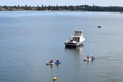Cliffs And Caves Kayak Tour In Swan River - Maitland Accommodation 5