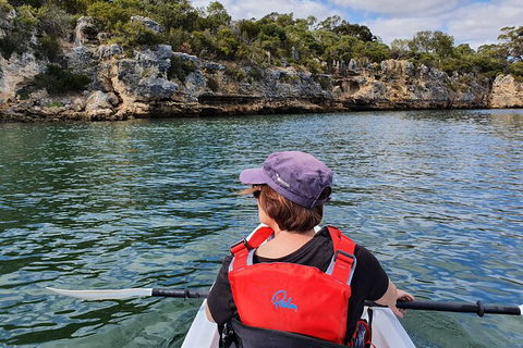 Cliffs And Caves Kayak Tour In Swan River - Maitland Accommodation 1