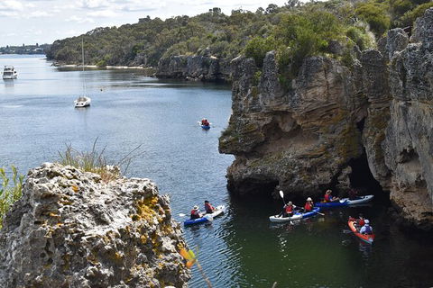 Cliffs And Caves Kayak Tour In Swan River - Maitland Accommodation 2
