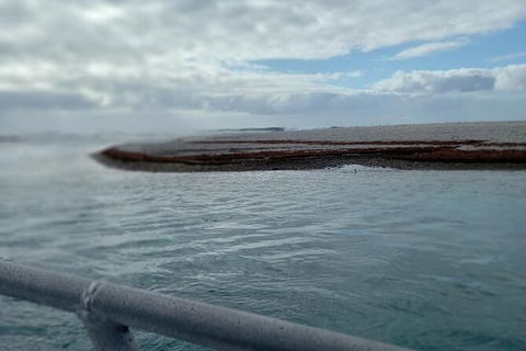 Abrolhos Islands Fishing Charter - Maitland Accommodation 6