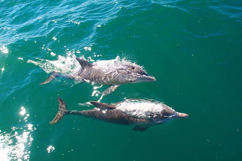 Sailing Kayak Adventure Through The Peel Harvey Estuary - Maitland Accommodation 1
