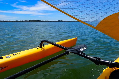 Sailing Kayak Adventure Through The Peel Harvey Estuary - Maitland Accommodation 3